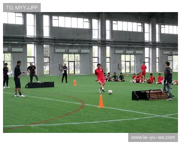 长春亚泰足球俱乐部：成立历程、设施规模与梯队建设的完整解析